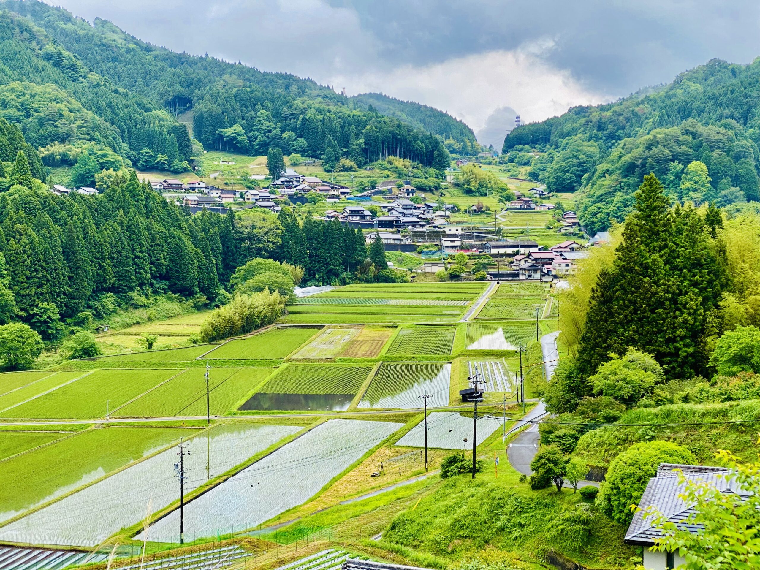 田舎風景